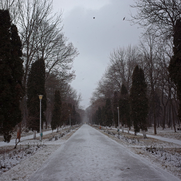 804 :: Memories of a flat alley